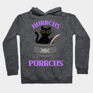 Hocus Pocus Hurrcus Purrcus Hoodie